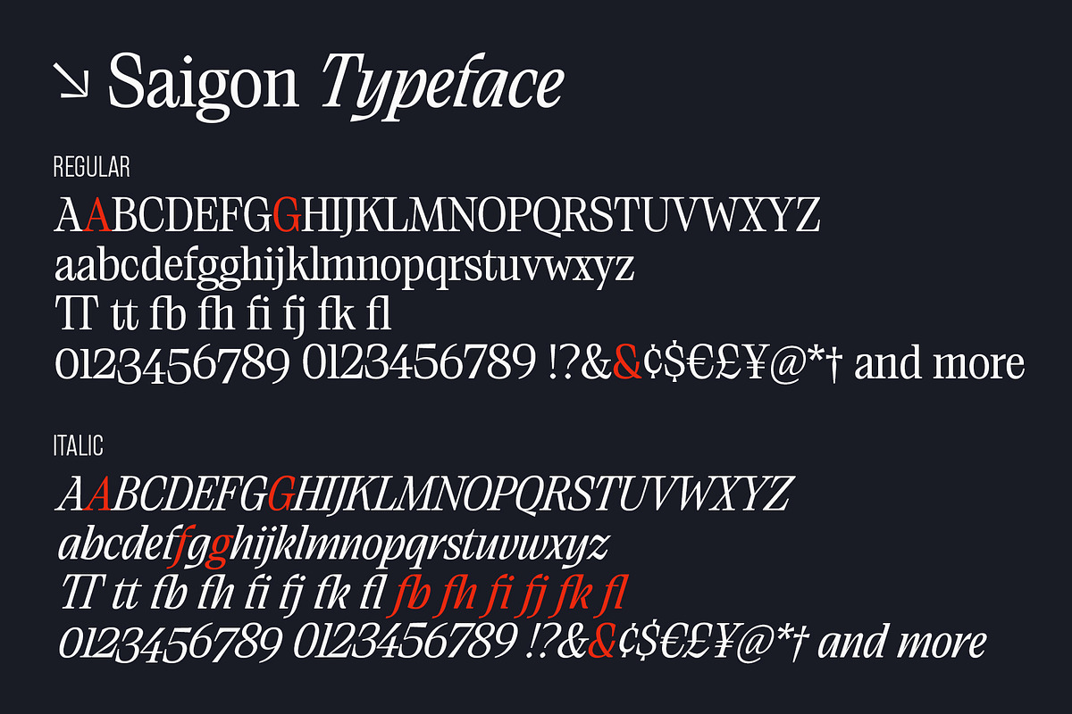 Saigon Minimalist Serif - Basic Pack, a Serif Font by The Paper Town (Photo 16 of 16)