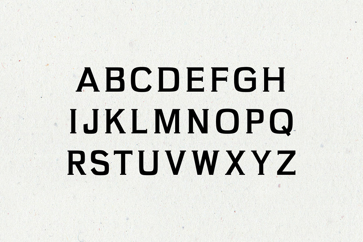 Brycen Serif Premium 7 Font Family preview 4