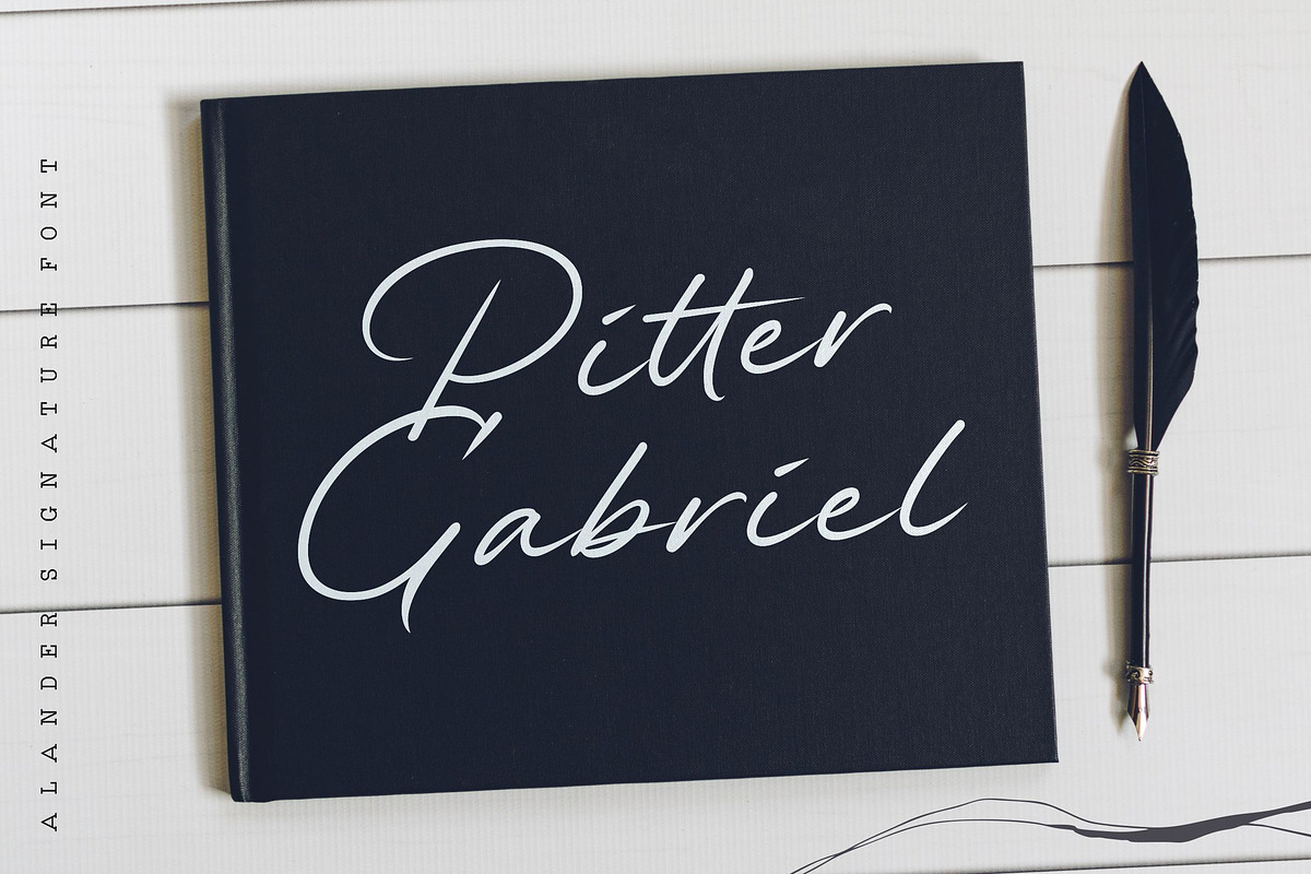 Alander Signature Font, a Script Font by Letteralle Studios (Photo 6 of 7)