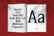 Rolynx- 8 font family, a Serif Font by Madjack.font (Thumbnail 8 of 11)