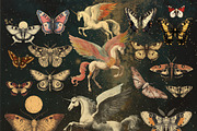 Dream. Collage creator, a Decorative Illustration by Chikovnaya (Thumbnail 9 of 15)