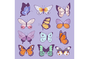 Colorful Different Summer Colorfullbutterfly Wings Vector Top View Illustration Isolated On Background.