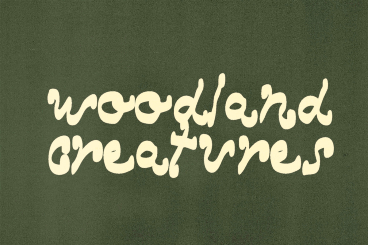 Woodland Hand Drawn Marker Font, a Handwritten Font by Madeline ODonoghue Design (Photo 5 of 8)