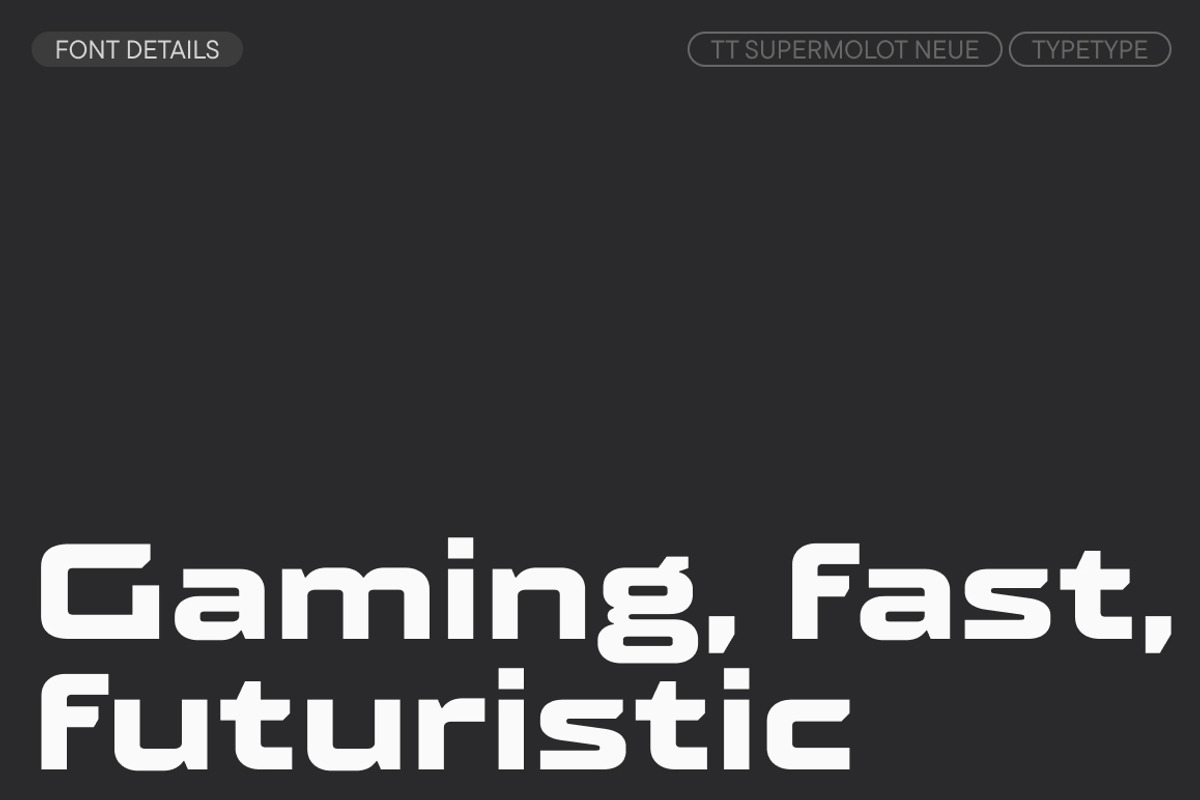 TT Supermolot Neue Extended, a Sans Serif Font by TypeType (Photo 3 of 6)