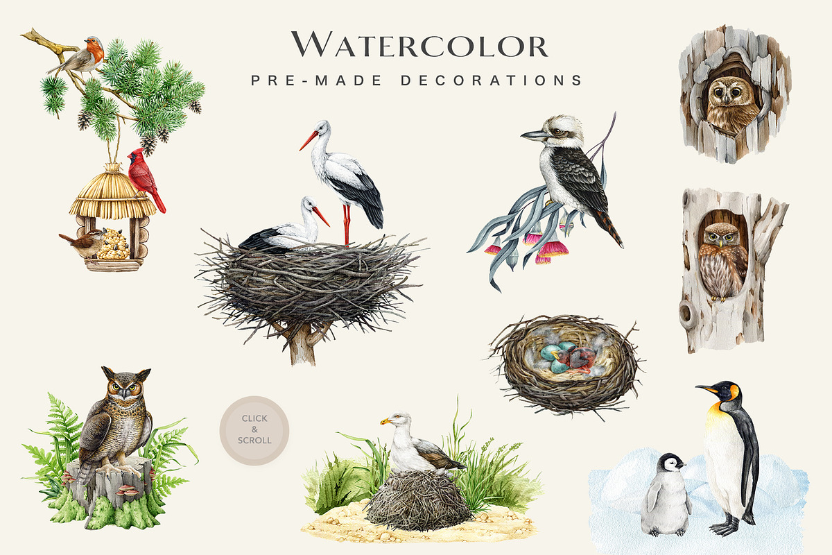 Birds Watercolor Painted Set, an Animal Illustration by AnitaPol (Photo 11 of 18)