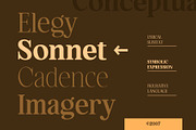 Hagios - Serif Family, a Serif Font by Novitype (Thumbnail 4 of 15)
