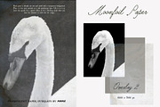 Moonfoil Paper: Pearlescent Overlays, a Texture Graphic by Purple (Thumbnail 4 of 19)
