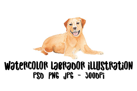 Watercolor Labrador Illustration