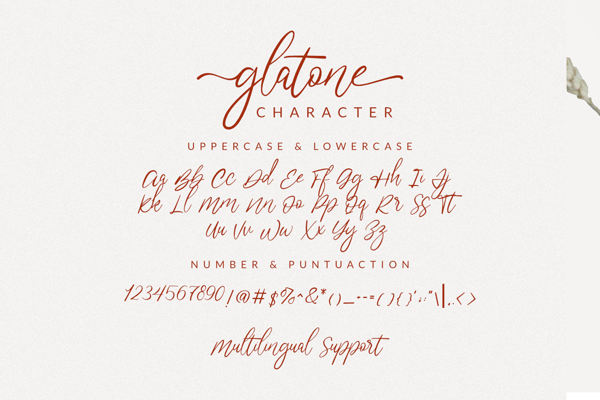 Glatone Script, a Script Font by Muwatta Studio (Photo 8 of 11)