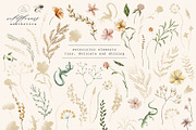 Wildflowers Aesthetics Watercolor, a Texture Illustration by Julia Dreams (Thumbnail 7 of 8)