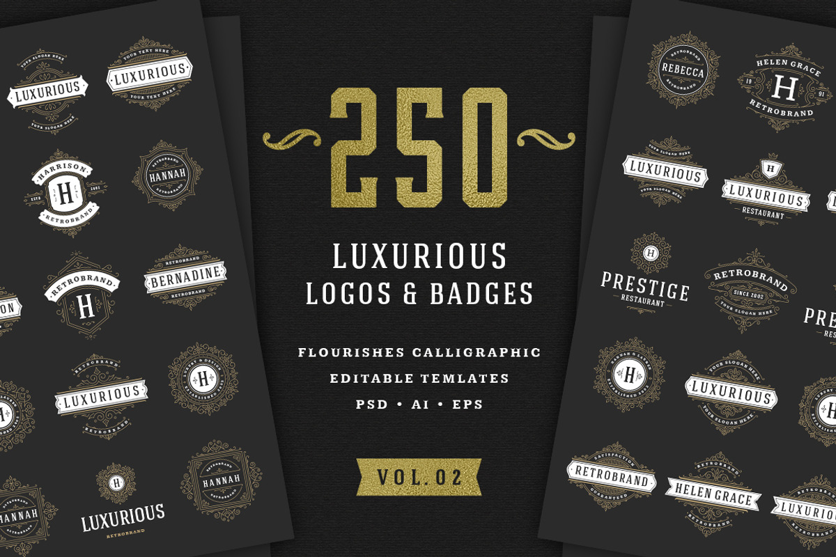250 ornaments logos & monograms, a Branding & Logo Template by Vasya Kobelev (Photo 1 of 23)