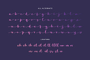 Botigood Script Fonts, a Script Font by Siwox Studios (Thumbnail 7 of 8)