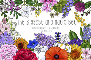 The Biggest Aromatic Set