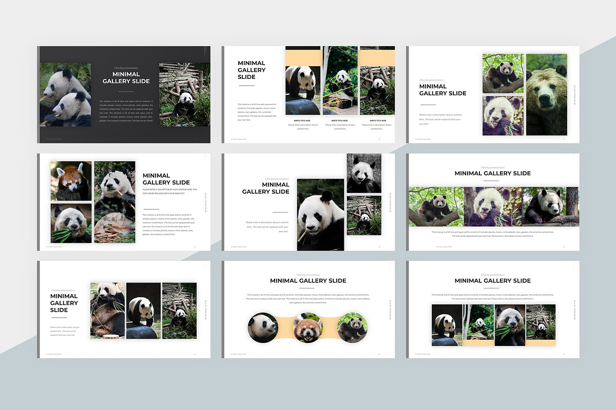 Animal Charity PowerPoint Template, a Presentation Template by litoondev (Photo 6 of 10)