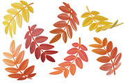 3D Autumn Leaves, a Plants & Tree 3D Model by Hannet (Thumbnail 3 of 5)