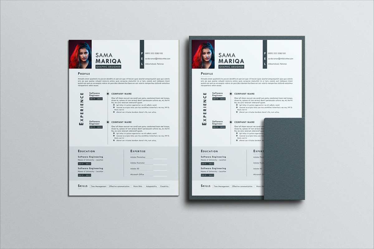 Professional and Minimal Resume/CV, a Resume Template by infobrother.com