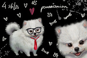 4 styles doggy pomeranian, an Illustration by art_mouse (Thumbnail 1 of 4)