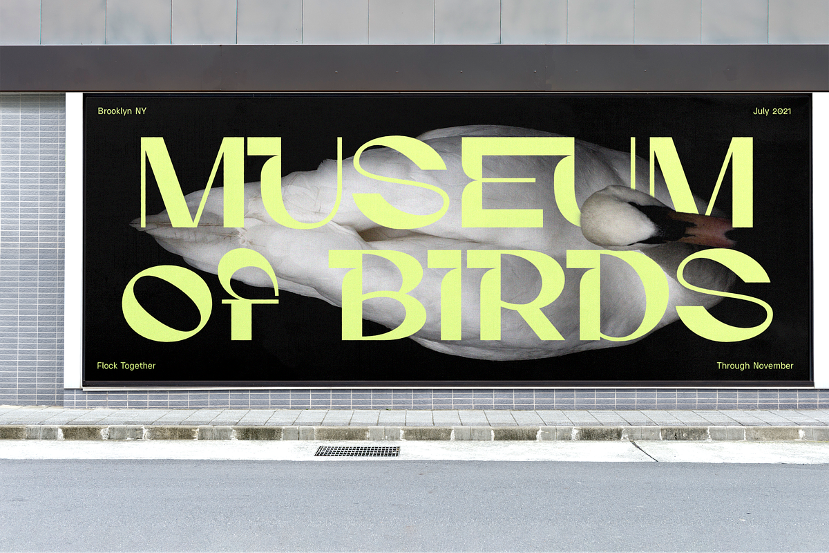 Gunter Display Font, a Sans Serif Font by That That Creative (Photo 2 of 20)