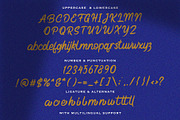 Billuneya - Modern Script Font, a Script Font by fluffstudio (Thumbnail 9 of 10)