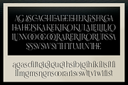 Glatte Ligature Serif Font, a Serif Font by Dylla_studio (Thumbnail 11 of 11)