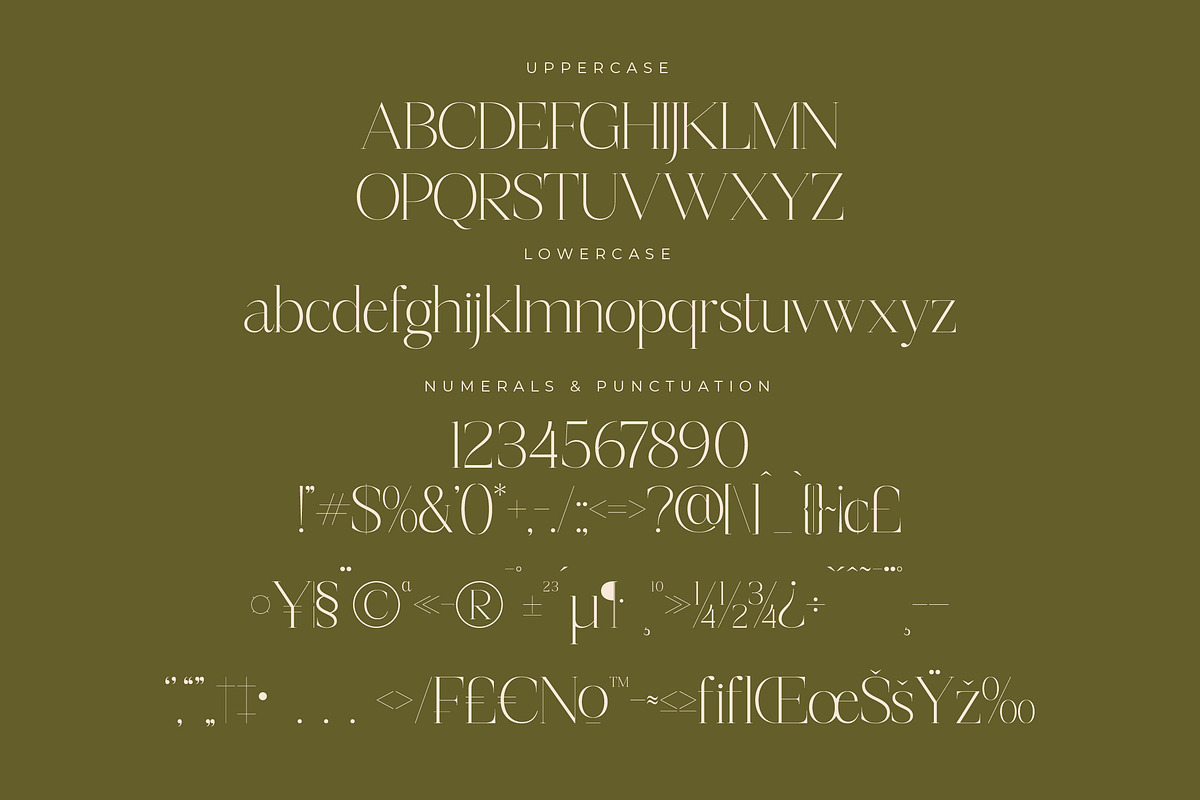 Mosbian Modern Serif Font, a Serif Font by Letterena Studios (Photo 13 of 15)