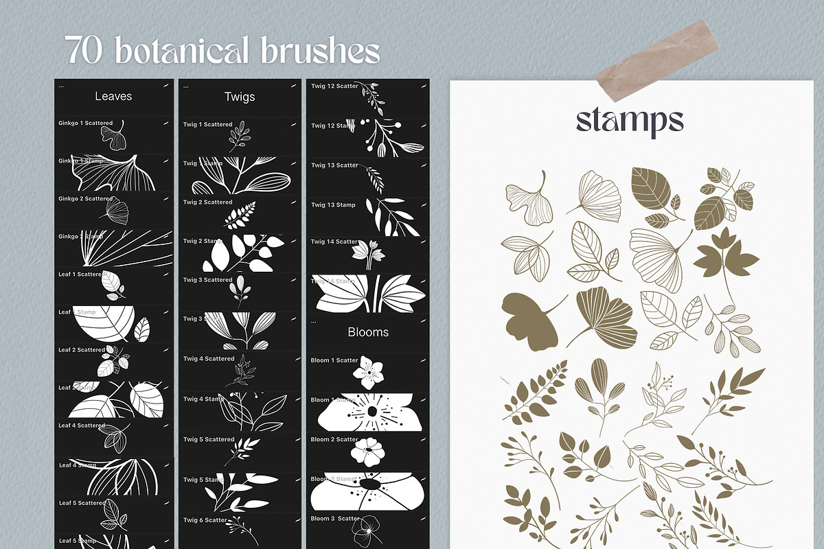 Botanical Procreate Stamp Brushes, a Brush Add-On by Busy May Studio