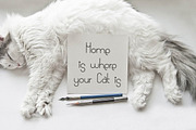 Happy Sprat Typeface, a Sans Serif Font by DeepFuze (Thumbnail 7 of 8)
