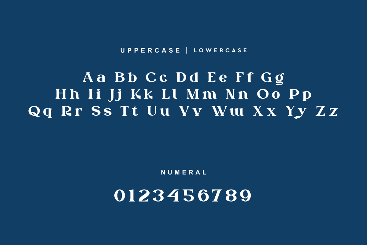 Rytnak - Luxury Retro Font, a Serif Font by QR Design Studio (Photo 8 of 15)