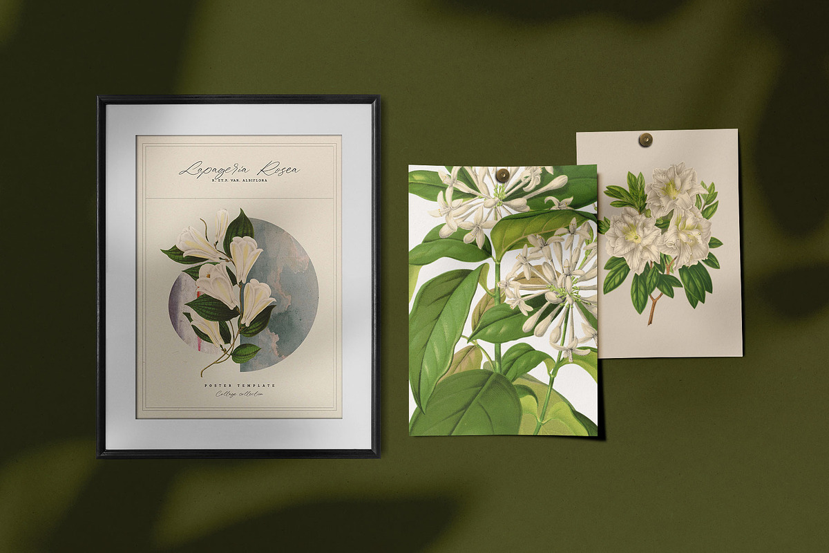 Vintage Botanica | Collage Creator, an Object Graphic by Leleka.Store (Photo 12 of 15)
