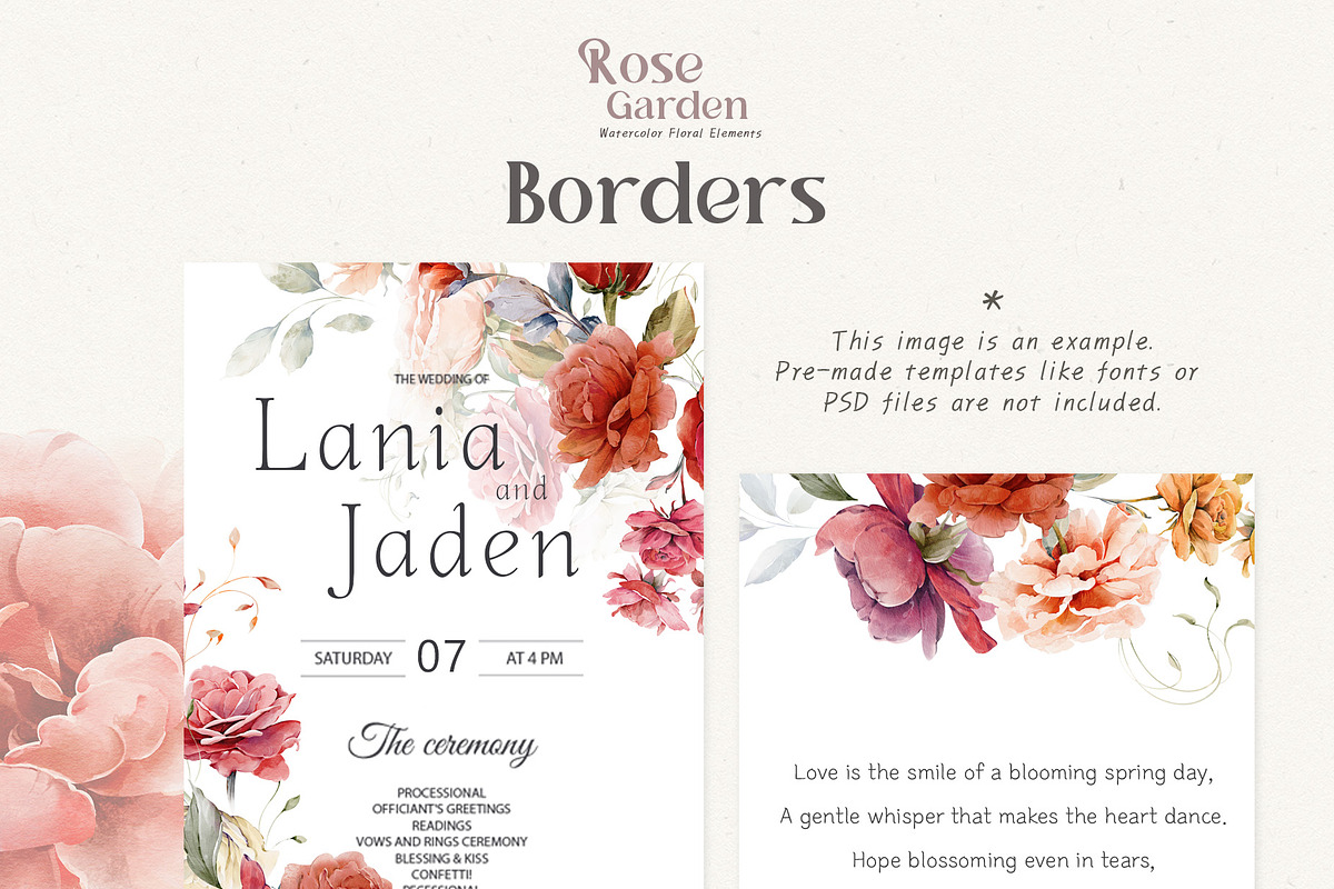 Watercolor Rose Collection, a Decorative Illustration by Damian Roh (Photo 10 of 16)