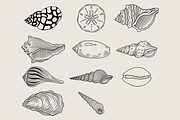 Seashell Coastal Vector Illustration, an Animal Illustration by Kusumaillustration (Thumbnail 4 of 9)