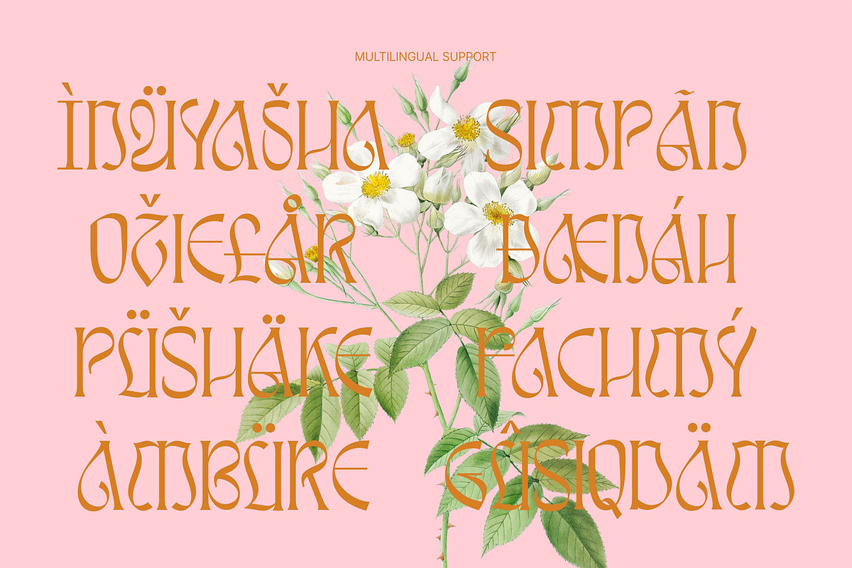 Awsirnam - Aesthetic Serif Font, a Serif Font by Enxyclo Studio (Photo 28 of 29)
