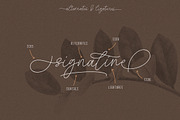 Signaline - Font Duo + Extras, a Script Font by Typehand Studio (Thumbnail 7 of 16)