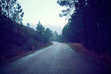 Road On Winter preview 6