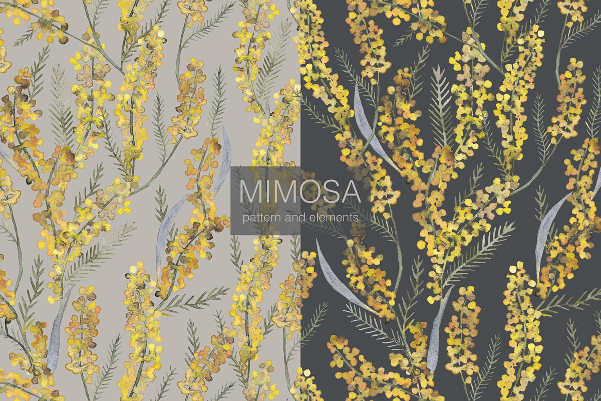 Pattern MIMOSA, a Decorative Illustration by PASHKOVA (Photo 16 of 18)
