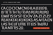 Little Chailos, a Sans Serif Font by Mantype Studio (Thumbnail 11 of 12)