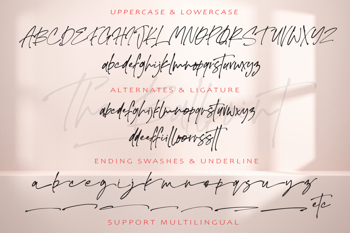 The Ballpoint, a Script Font by AMINMARIO (Photo 8 of 9)