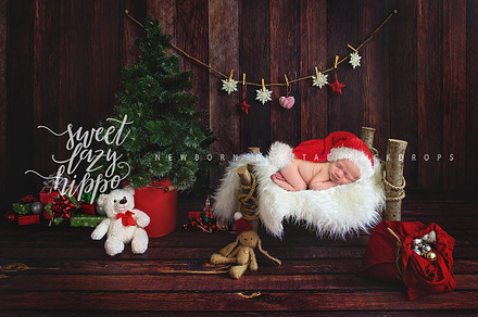 Christmas Backdrop. Santa's house