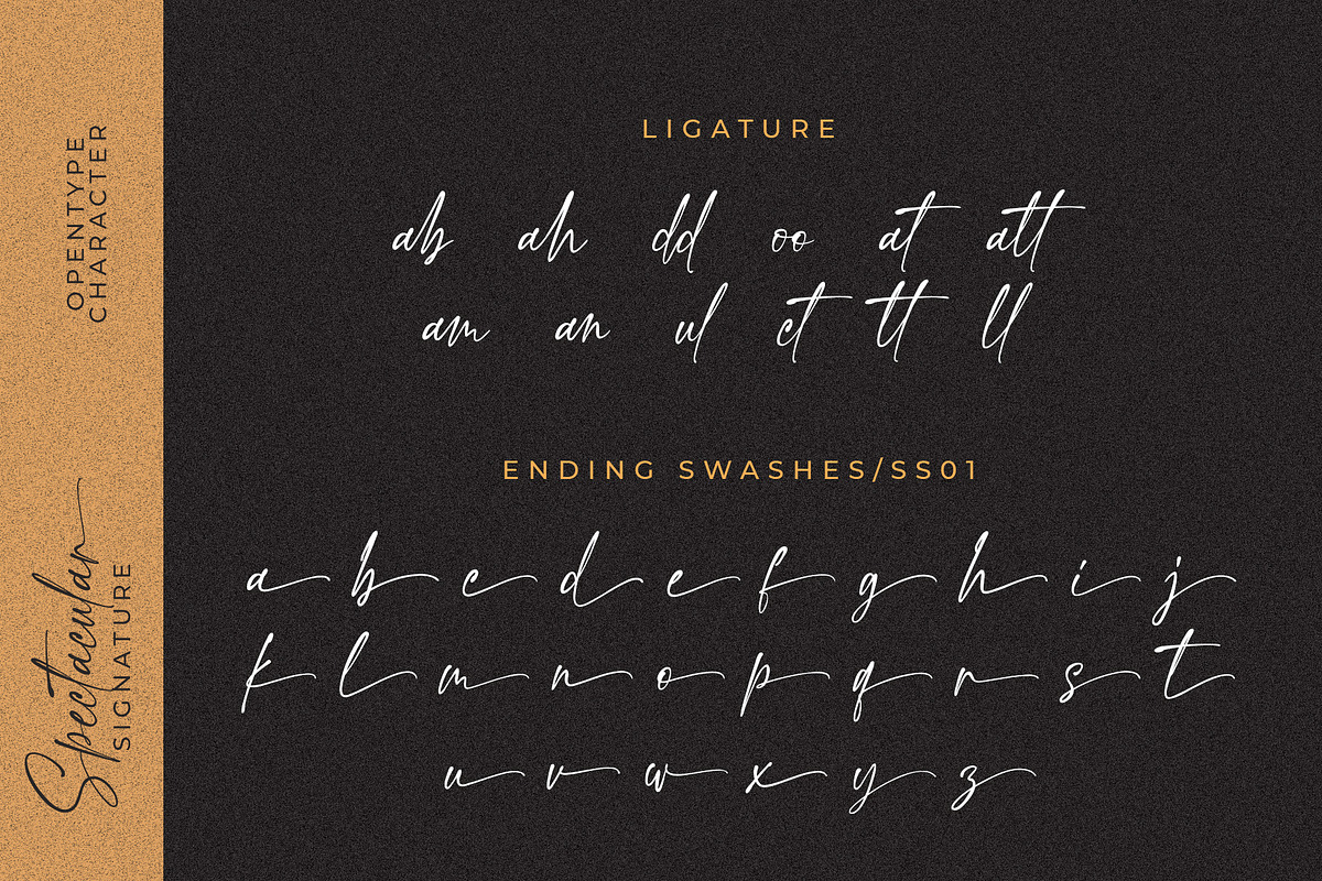 Spectacular Signature Font, a Script Font by Beautypes (Photo 8 of 8)