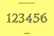 Ranch Life Western Display Font, a Handwritten Font by Sarah Baker (Thumbnail 3 of 8)