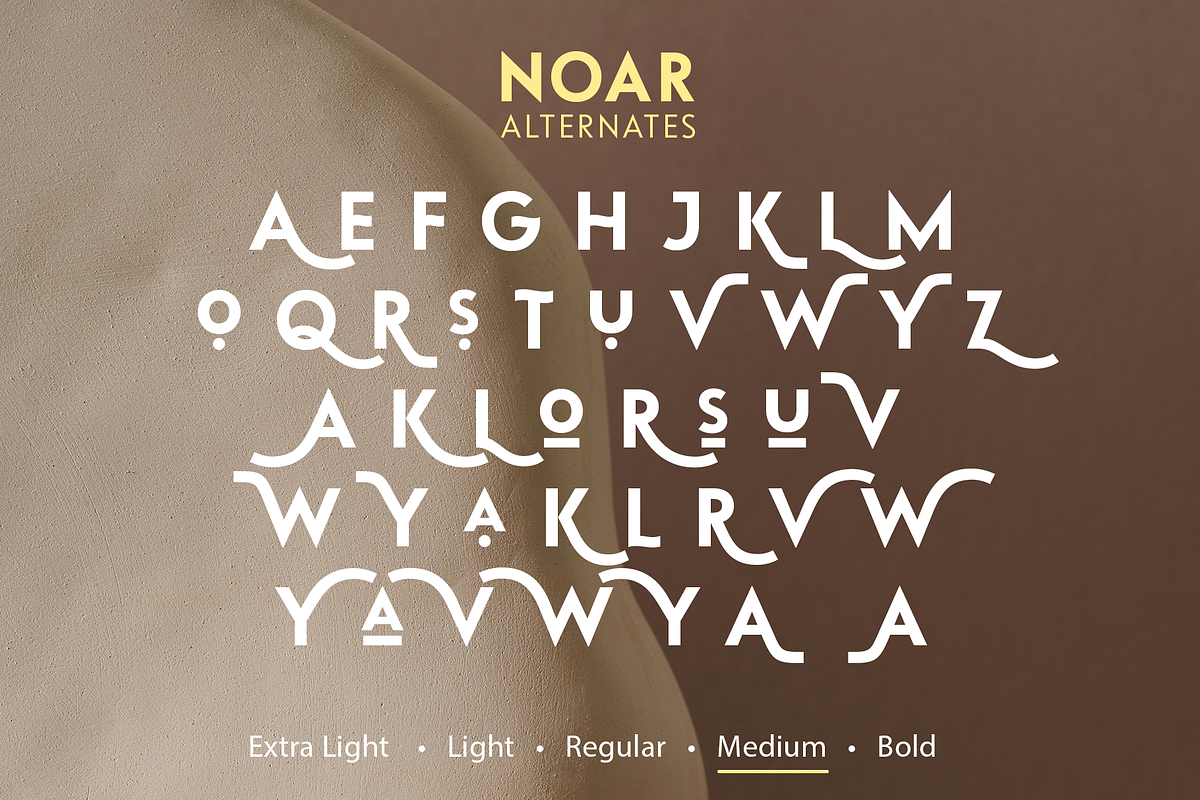 Noar | Font Family, a Sans Serif Font by Larin Type Co. (Photo 15 of 15)