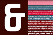 Transfer, a Sans Serif Font by Octotypo (Thumbnail 3 of 7)