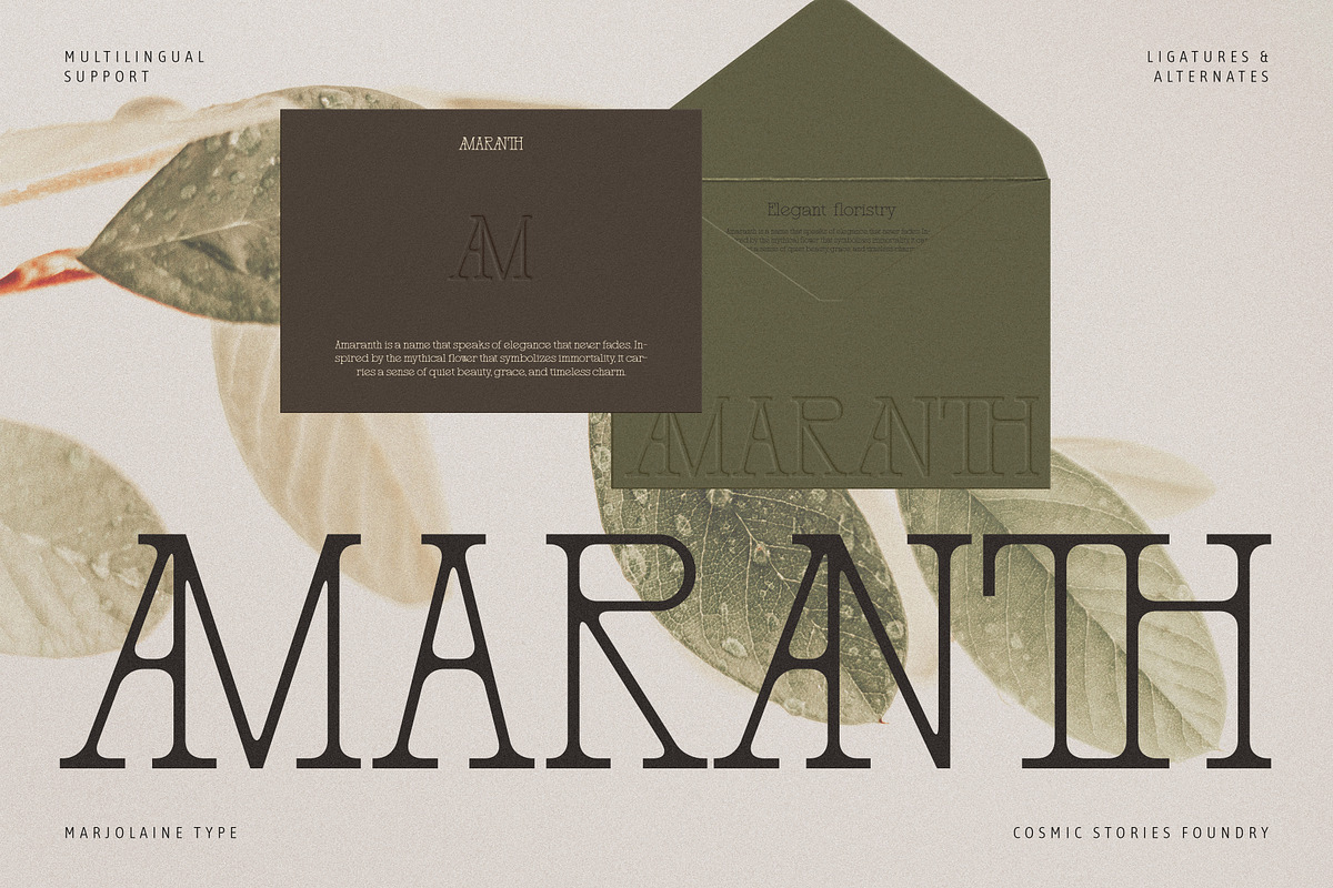 Marjolaine Type - A delicate Serif, a Serif Font by CarmineType (Photo 8 of 24)