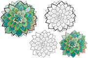 Succulents for coloring pages, a Decorative Illustration by Watercolor fantasy (Thumbnail 9 of 13)
