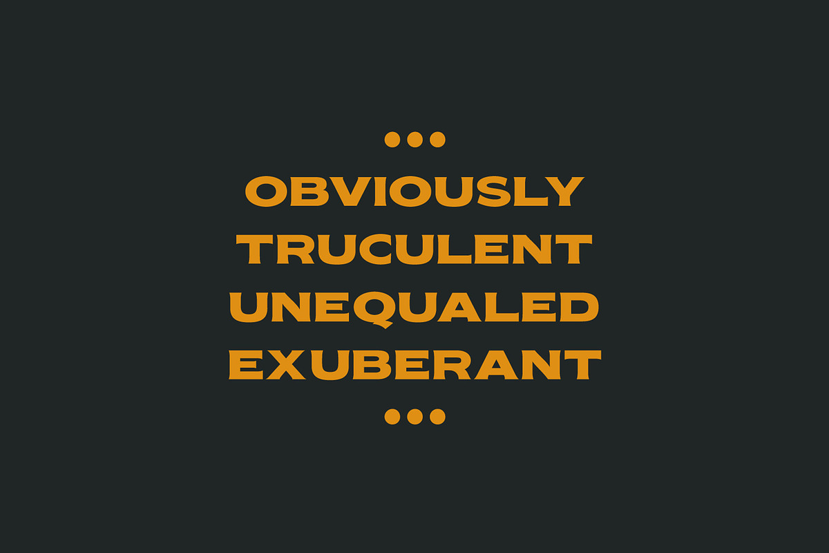 Nakara Serif | Modern Seriface, a Serif Font by Kreuk Studio (Photo 5 of 8)