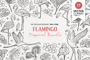 Tropical Flamingo Vector Line Art, an Animal Illustration by MadliArt