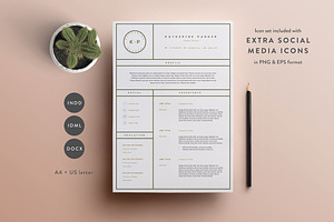 Resume Template 3 Page