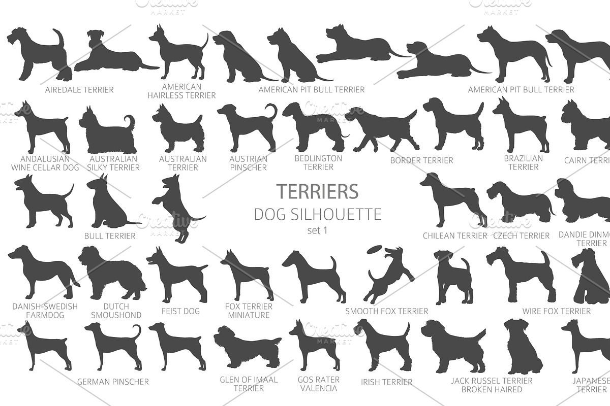 Terrier dogs Silhouettes, an Animal Illustration by pet design shop (Photo 7 of 13)