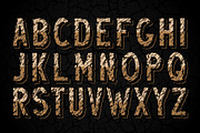 Desert Rock display font family, a Symbol Font by DGIM studio (Thumbnail 2 of 9)