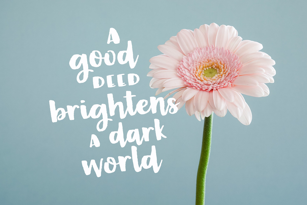 Butterbell & Toast Textured Font Duo, a Script Font by Rachel White Art (Photo 13 of 15)